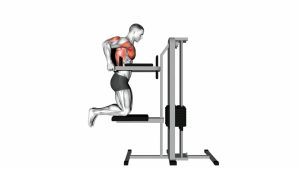 Read more about the article Assisted Chest Dip (Kneeling)