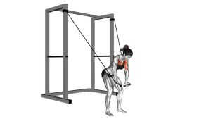 Read more about the article Band High Fly (High to Low Band Chest Fly)