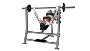 Read more about the article Barbell Decline Bench Press