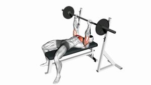 Read more about the article Barbell Guillotine Bench Press