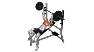 Read more about the article Barbell Incline Bench Press