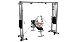 Read more about the article Cable Decline Fly (High to Low Cable Fly)