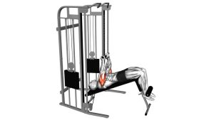 Read more about the article Cable Decline Chest Press