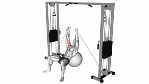 Read more about the article Cable Incline Fly (on Stability Ball)