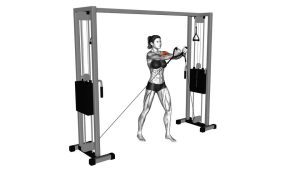 Read more about the article Cable Low Fly