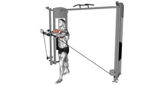 Read more about the article Cable Low Fly (Low to High Cable Fly)