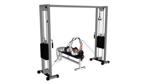 Read more about the article Cable Lying Fly