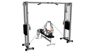 Read more about the article Cable Lying Fly (Flat Bench Cable Fly)