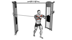 Read more about the article Cable Middle Fly (Standing Cable Chest Fly )