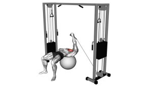 Read more about the article Cable One Arm Fly on Exercise Ball