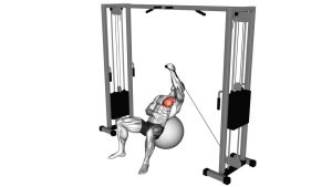 Read more about the article Cable One Arm Incline Fly on Exercise Ball