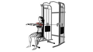 Read more about the article Cable Seated Chest Press