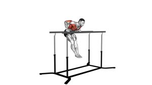 Read more about the article Chest Dip on Straight Bar