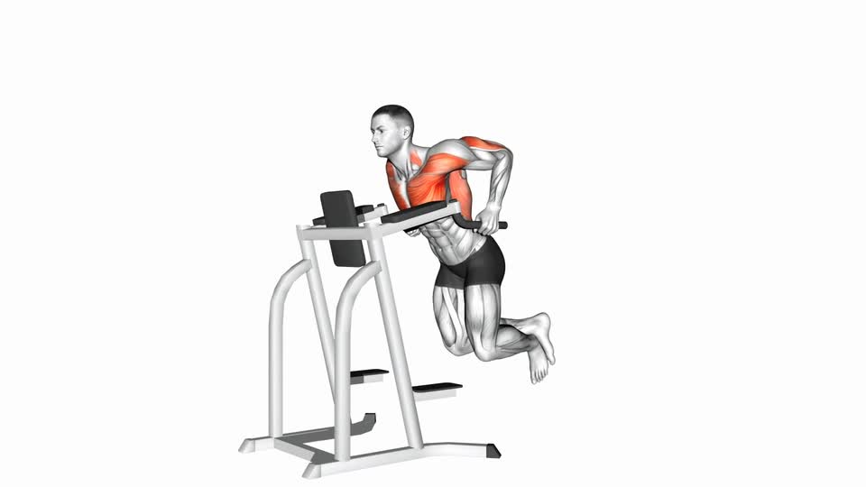 Chest Dip (Chest Focus) - ManiacMuscle