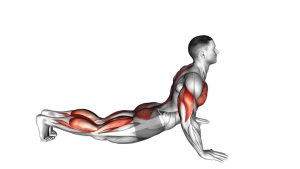 Read more about the article Cobra Push-Up