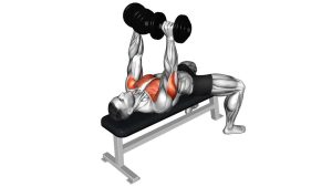 Read more about the article Dumbbell Bench Press (Flat Bench)