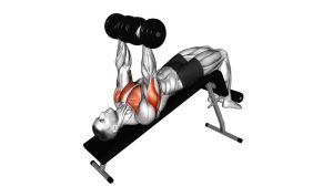 Read more about the article Dumbbell Decline Bench Press