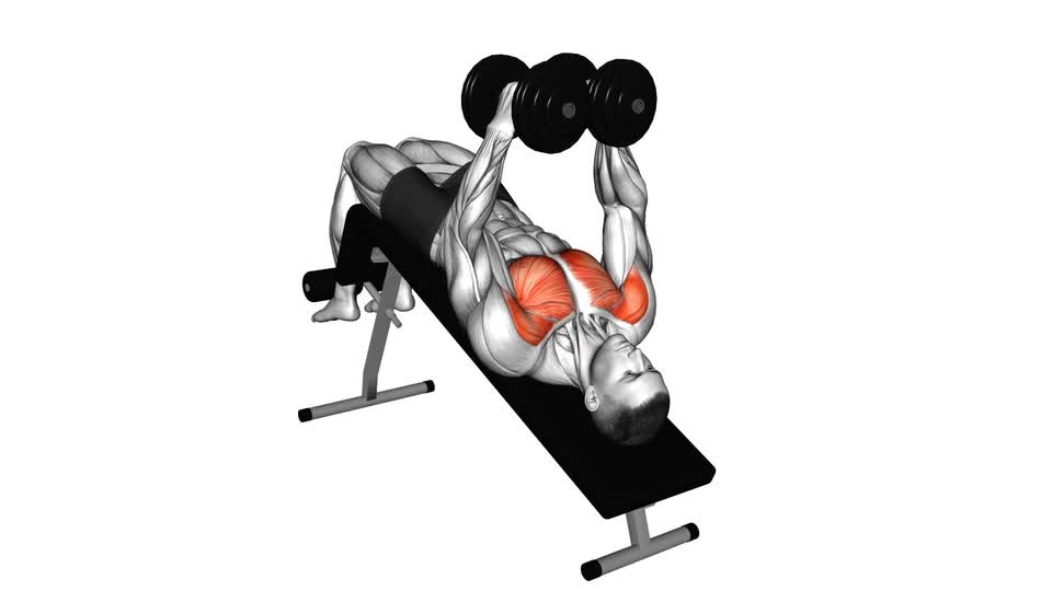 Fly Reps Dumbbell Decline Fly - ManiacMuscle