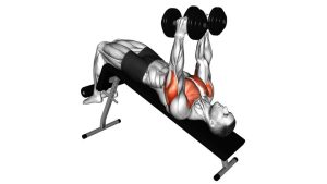 Read more about the article Dumbbell Decline Hammer Press