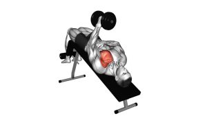 Read more about the article Dumbbell Decline One Arm Fly
