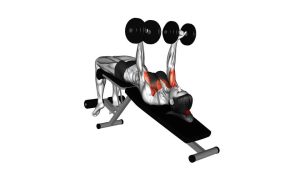 Read more about the article Dumbbell Decline Twist Fly