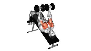 Read more about the article Dumbbell Decline Twist Fly