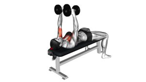 Read more about the article Dumbbell Fly (Flat Bench)