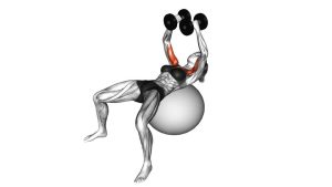 Read more about the article Dumbbell Fly on Exercise Ball