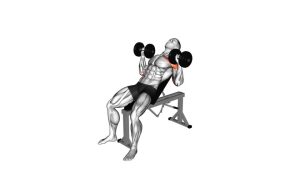Read more about the article Dumbbell Incline Alternate Press