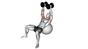 Read more about the article Dumbbell Incline Fly on Exercise Ball