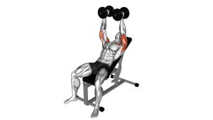 Read more about the article Dumbbell Incline Hammer Press