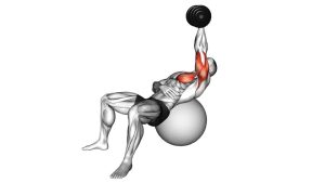 Read more about the article Dumbbell Incline One Arm Press on Exercise Ball