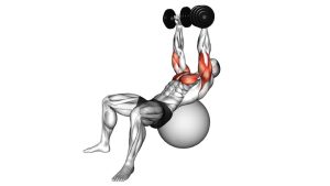 Read more about the article Dumbbell Incline Press on Exercise Ball