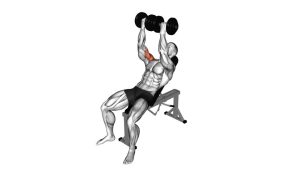 Read more about the article Dumbbell Incline Twisted Fly