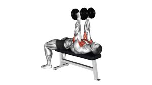 Read more about the article Dumbbell Lying Hammer Press