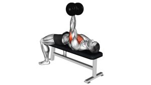 Read more about the article Dumbbell Lying One Arm Press