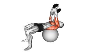 Read more about the article Dumbbell Lying Pullover on Exercise Ball
