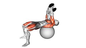 Read more about the article Dumbbell Pullover Hip Extension on Exercise Ball
