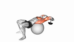 Read more about the article Dumbbell Pullover on Exercise Ball