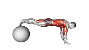 Read more about the article Exercise Ball Pike Push Up