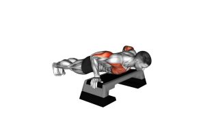 Read more about the article Incline Push Up