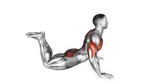 Read more about the article Kneeling Cobra Push-Up