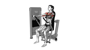 Read more about the article Lever Chest Press