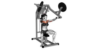 Read more about the article Lever Chest Press