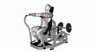 Read more about the article Lever Chest Press