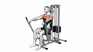 Read more about the article Lever Chest Press