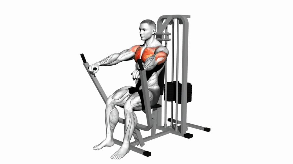 lever-chest-press-maniacmuscle