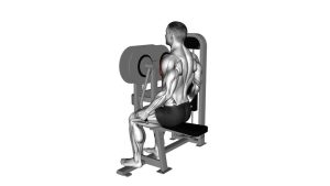 Read more about the article Lever Crossovers (Machine Chest Fly)