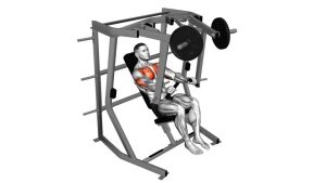 Read more about the article Lever Decline Chest Press