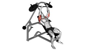Read more about the article Lever Incline Chest Press